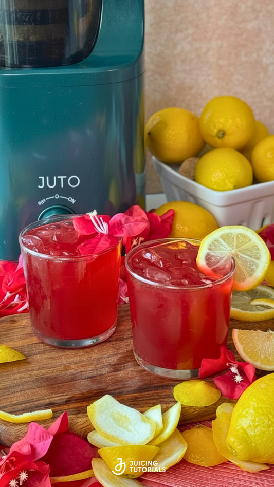 Hibiscus Lemonade
