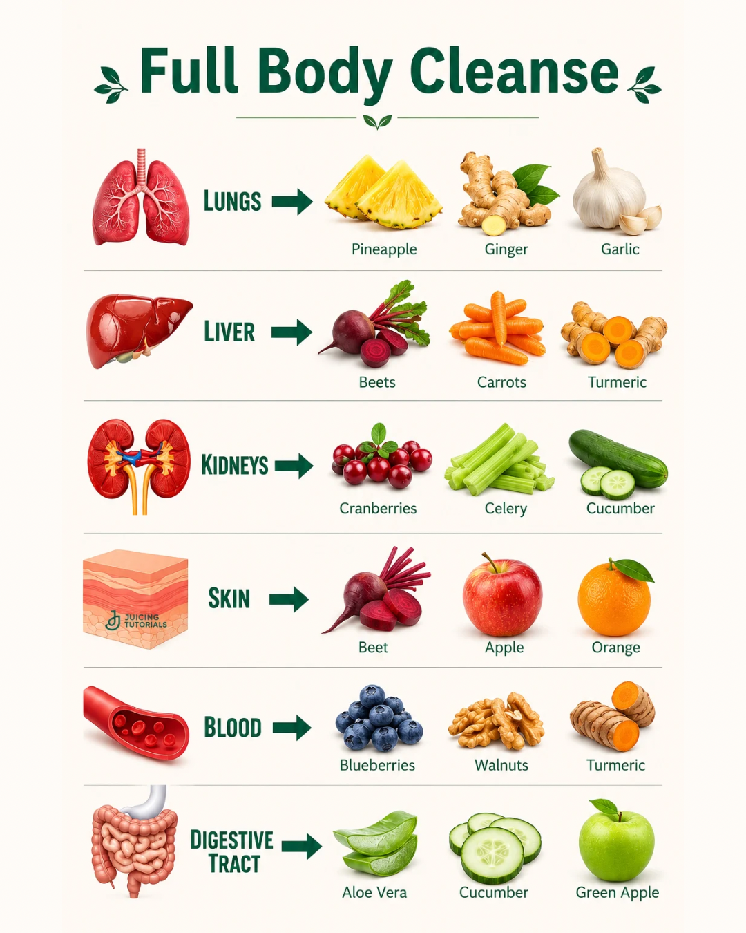 Full Body Cleanse: The Best Juices for Every Organ